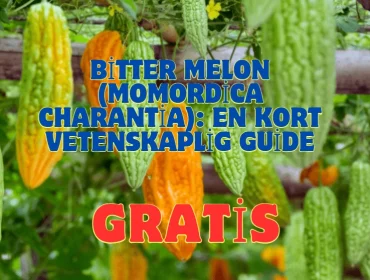 Bitter Melon
