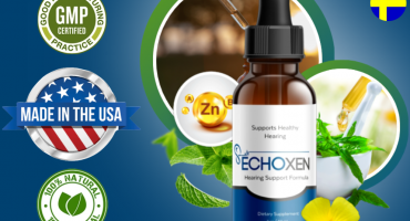 EchoXen